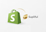 build a premium shopify store with supliful